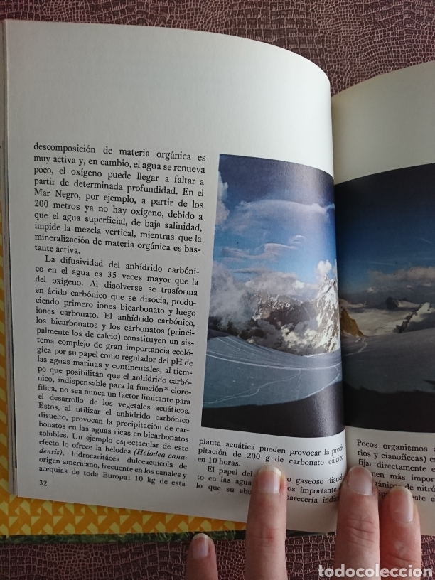 Libros de segunda mano: La ecolog&iacute;a - Foto 5