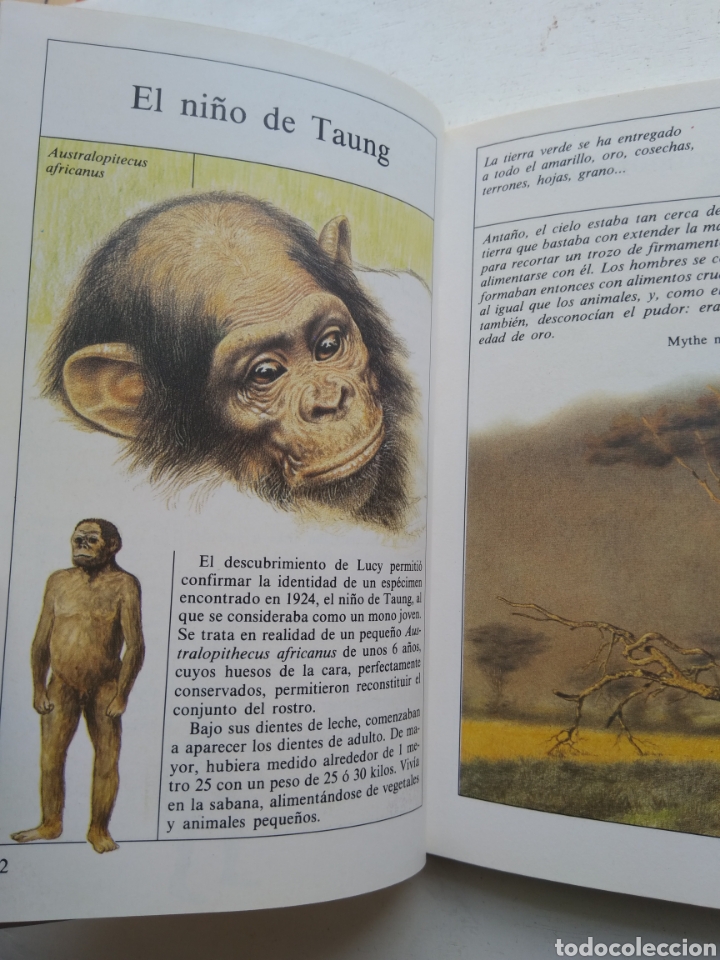 Libros de segunda mano: EL LIBRO DE LOS PRIMEROS HOMBRES/VV.AA. - Foto 2