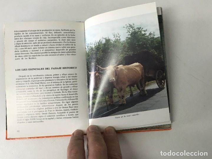 Libros de segunda mano: Ram&oacute;n Otero Pedrayo. Ourense. Galicia . - Foto 3