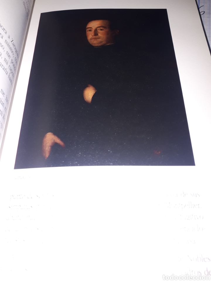 Libros de segunda mano: FRANCISCO DE GOYA  EL &Uacute;LTIMO CAPRICHO - AS&Iacute; ME VIO - Foto 3