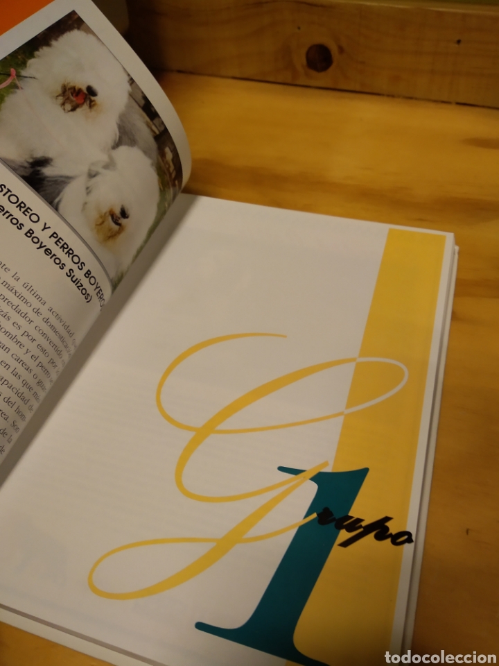 Libros de segunda mano: EL LIBRO DE LAS RAZAS CANINAS. ROYAL CANIN #4600 - Foto 6
