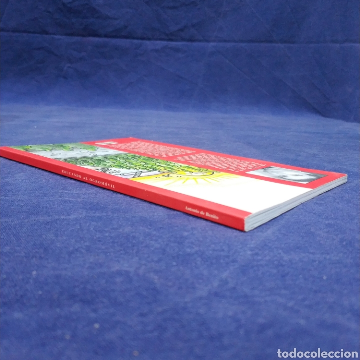 Libros de segunda mano: EDUCANDO AL OGROM&Oacute;VIL - ANTONIO DE BENITO - Foto 2