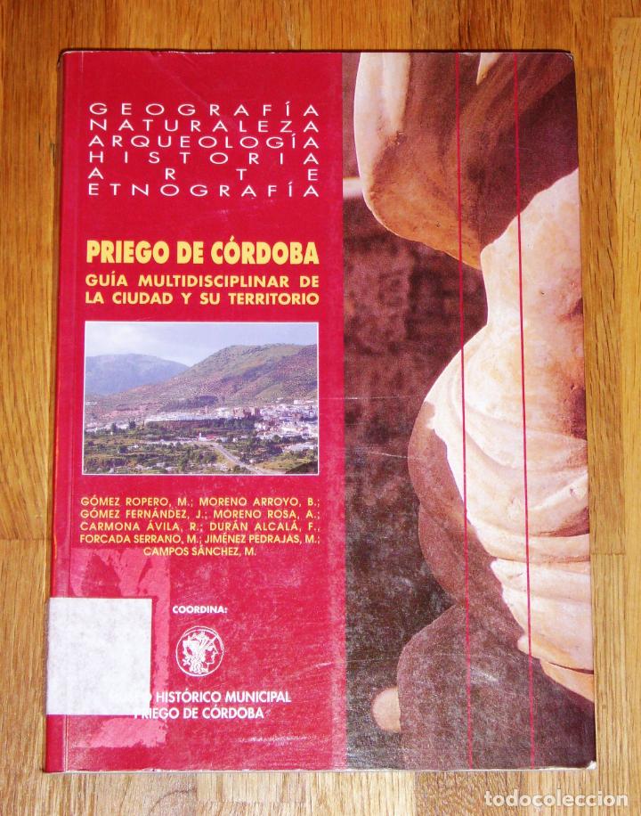 Libri di seconda mano: PRIEGO DE C&Oacute;RDOBA : gu&iacute;a multidisciplinar de la ciudad y su territorio : Geograf&iacute;a, naturaleza, arqu