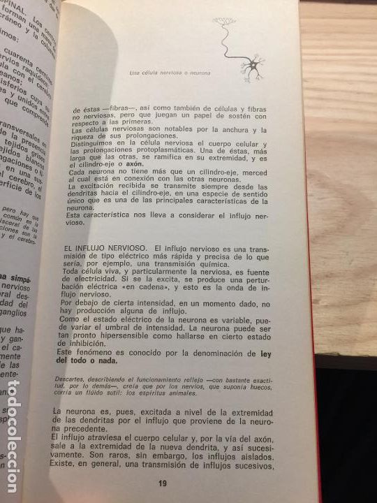 Libros de segunda mano: El comportamiento humano. - M. Witvrouw y R. Remouchamps. - Foto 3