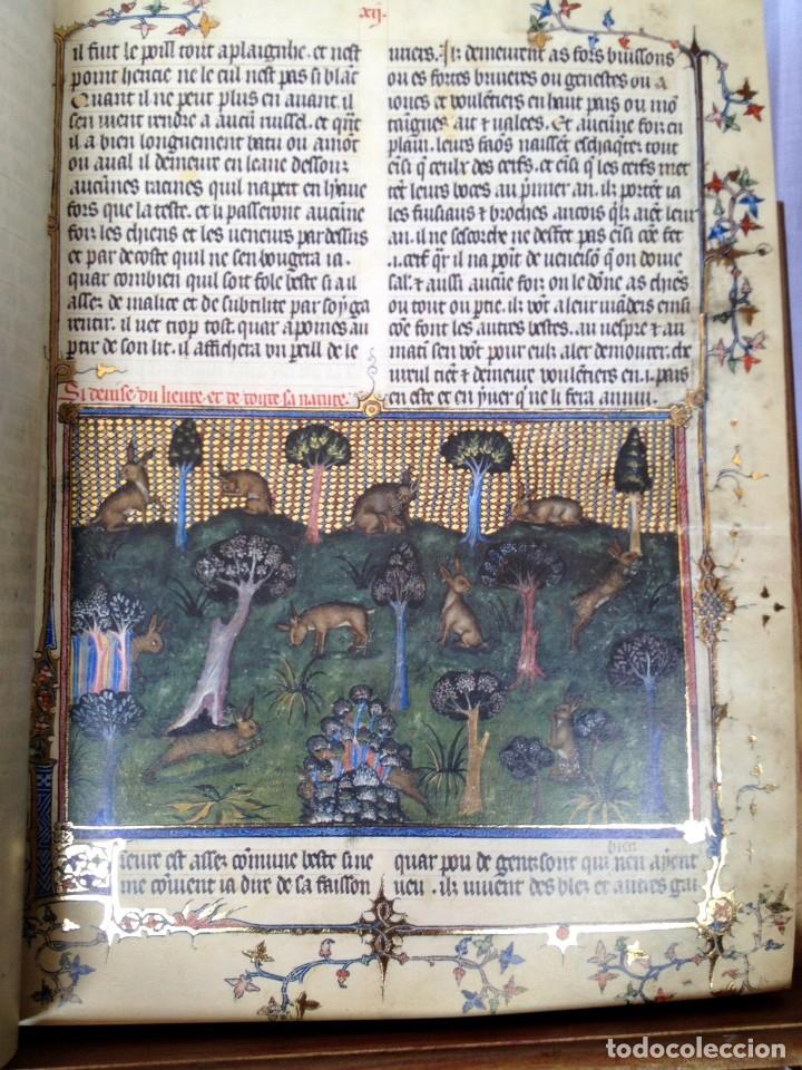 Libros de segunda mano: FACS&Iacute;MIL TRATADO DE LA CAZA DE GASTON III. - Foto 3