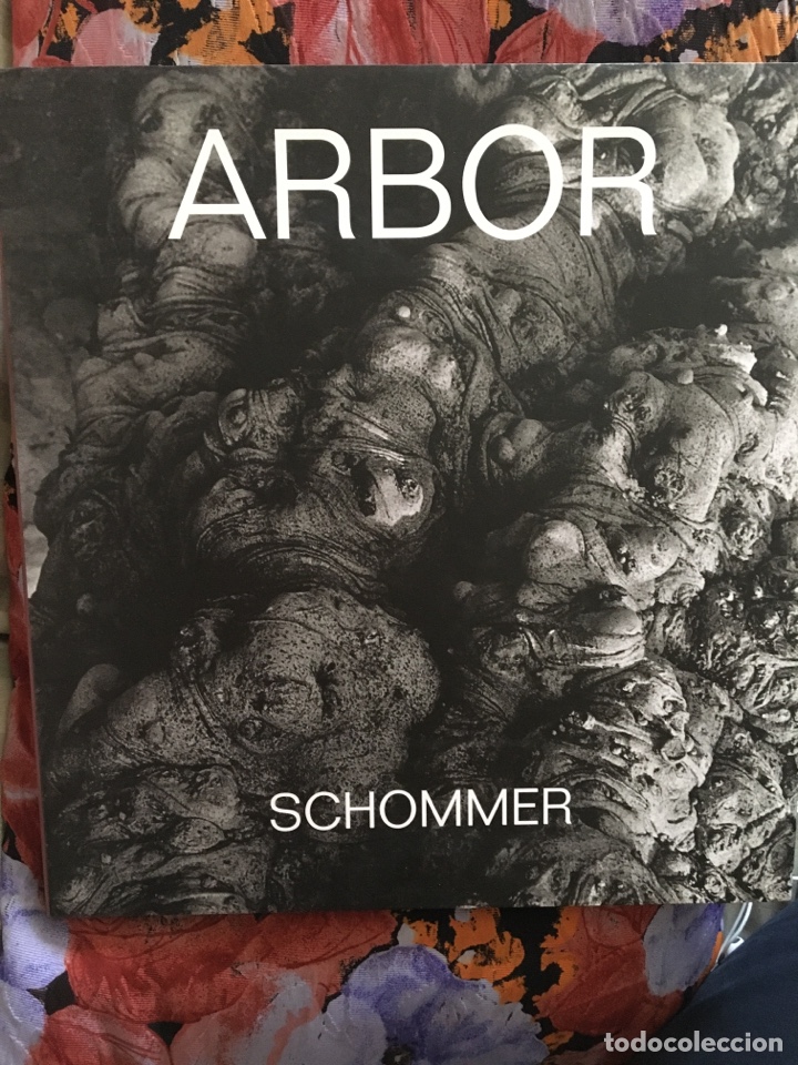 Libros de segunda mano: Schommer. ( alberto Schommer ) ARBOR : lunwerg - Foto 1