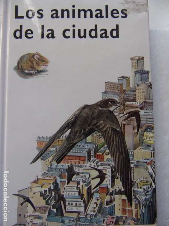 Libros de segunda mano: LOS ANIMALES DE LA CIUDAD -Conocimientos edelvives- 1994