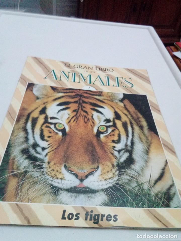 Libros de segunda mano: FASC&Iacute;CULO EL GRAN LIBRO DE LOS ANIMALES. N&ordm; 1. LOS TIGRES. EST20B1 - Foto 1