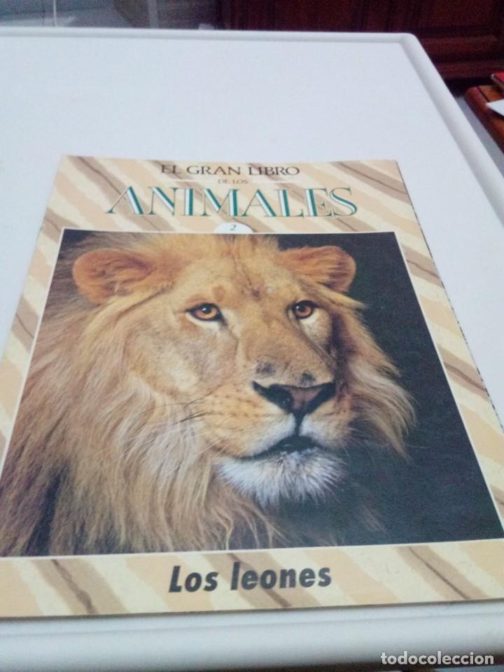 Libros de segunda mano: FASC&Iacute;CULO EL GRAN LIBRO DE LOS ANIMALES. N&ordm; 2. LOS LEONES EST20B1 - Foto 1