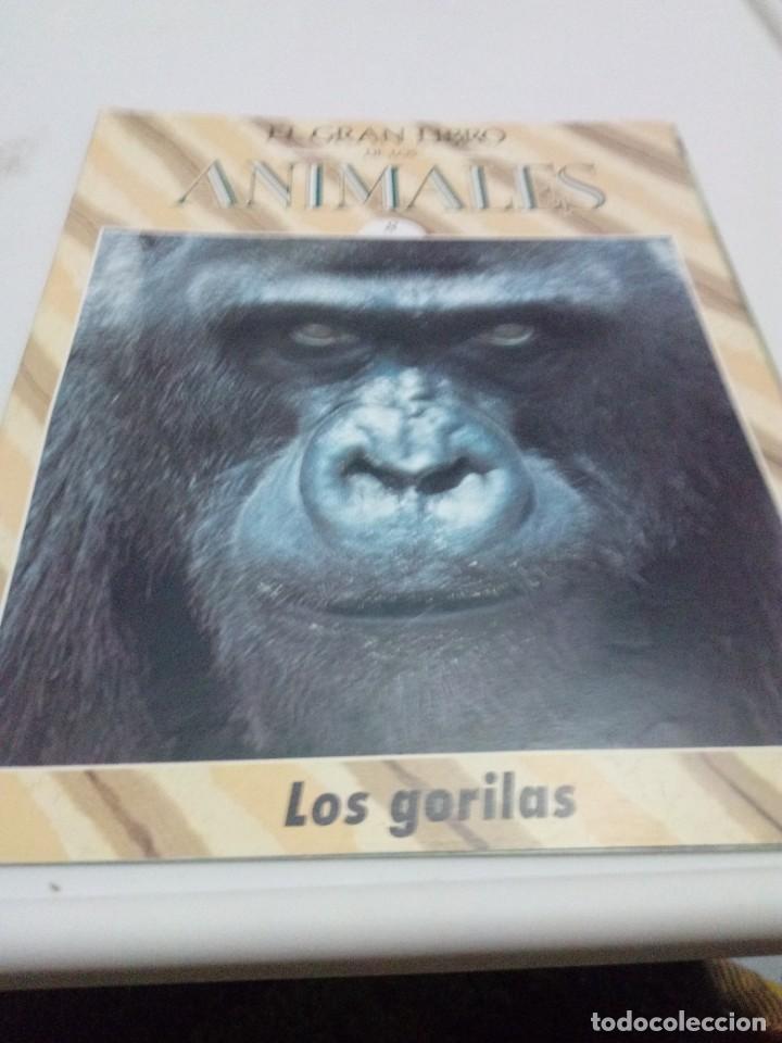 Libros de segunda mano: FASC&Iacute;CULO EL GRAN LIBRO DE LOS ANIMALES. N&ordm; 8. LOS GORILAS EST20B1 - Foto 1