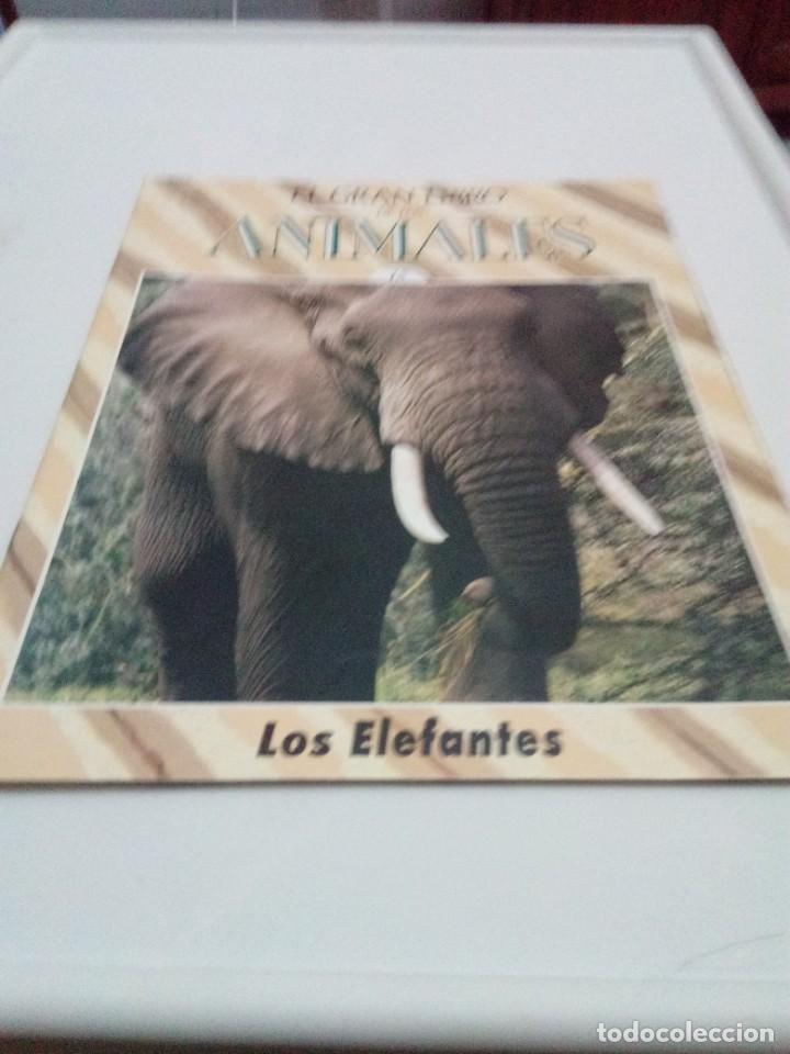 Libros de segunda mano: FASC&Iacute;CULO EL GRAN LIBRO DE LOS ANIMALES. N&ordm; 15. LOS ELEFANTES EST20B1 - Foto 1