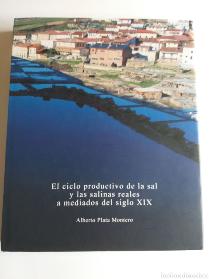 Libros de segunda mano: El ciclo productivo de la sal y las salinas reales a mediados del siglo XIX temas vascos