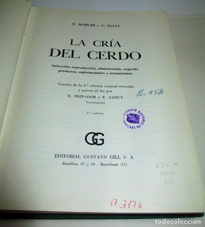 Libros de segunda mano: La Cr&iacute;a del Cerdo (E. Marchi y C. Pucci - Edit. Gustavo Gili - 1966). - Foto 1