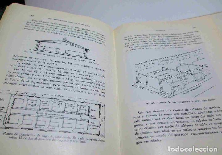 Libros de segunda mano: La Cr&iacute;a del Cerdo (E. Marchi y C. Pucci - Edit. Gustavo Gili - 1966). - Foto 3