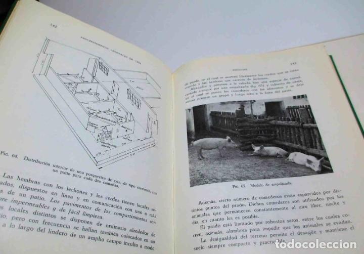 Libros de segunda mano: La Cr&iacute;a del Cerdo (E. Marchi y C. Pucci - Edit. Gustavo Gili - 1966). - Foto 4