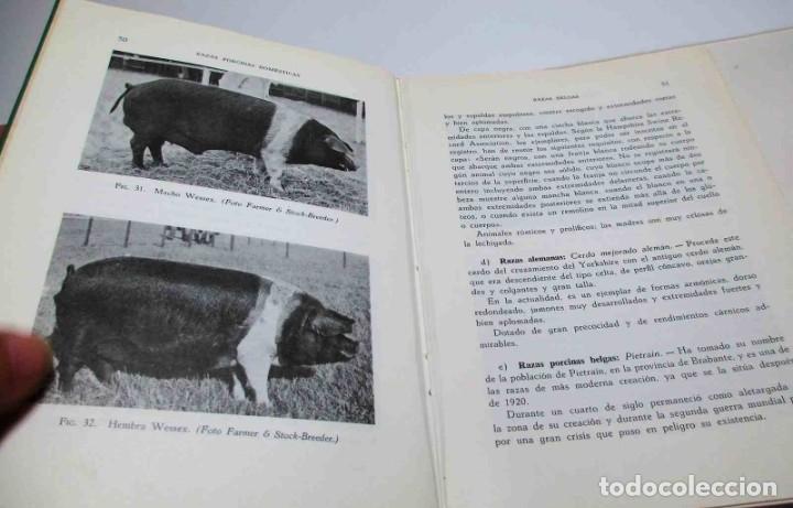 Libros de segunda mano: La Cr&iacute;a del Cerdo (E. Marchi y C. Pucci - Edit. Gustavo Gili - 1966). - Foto 5