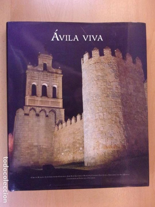 Libros de segunda mano: &Aacute;VILA VIVA / VV.AA. / 2005.LUNWERG - Foto 1
