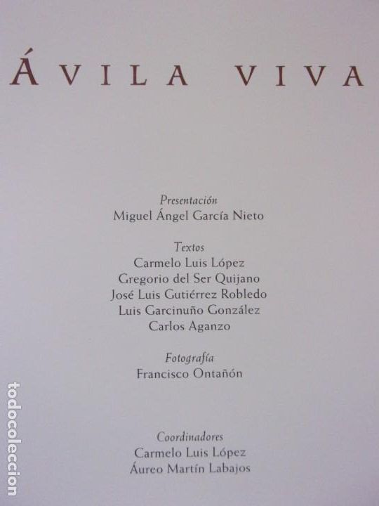 Libros de segunda mano: &Aacute;VILA VIVA / VV.AA. / 2005.LUNWERG - Foto 3