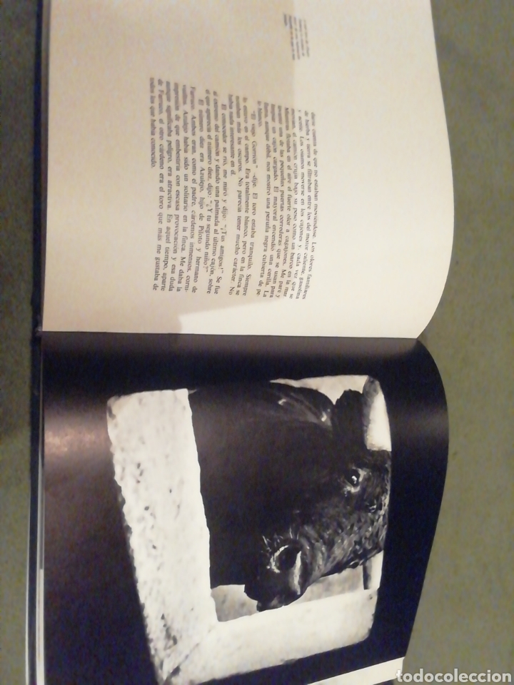 Libros de segunda mano: Toros de iberia. ROBERT VAVRA - Foto 3