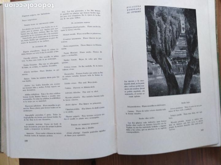 Libros de segunda mano: EL LIBRO DE LOS JARDINES. NOEL CLARASO - Foto 3