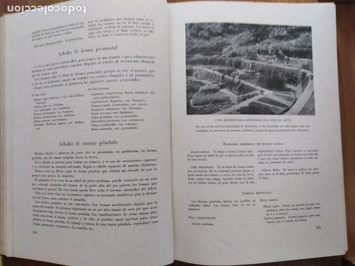 Libros de segunda mano: EL LIBRO DE LOS JARDINES. NOEL CLARASO - Foto 4