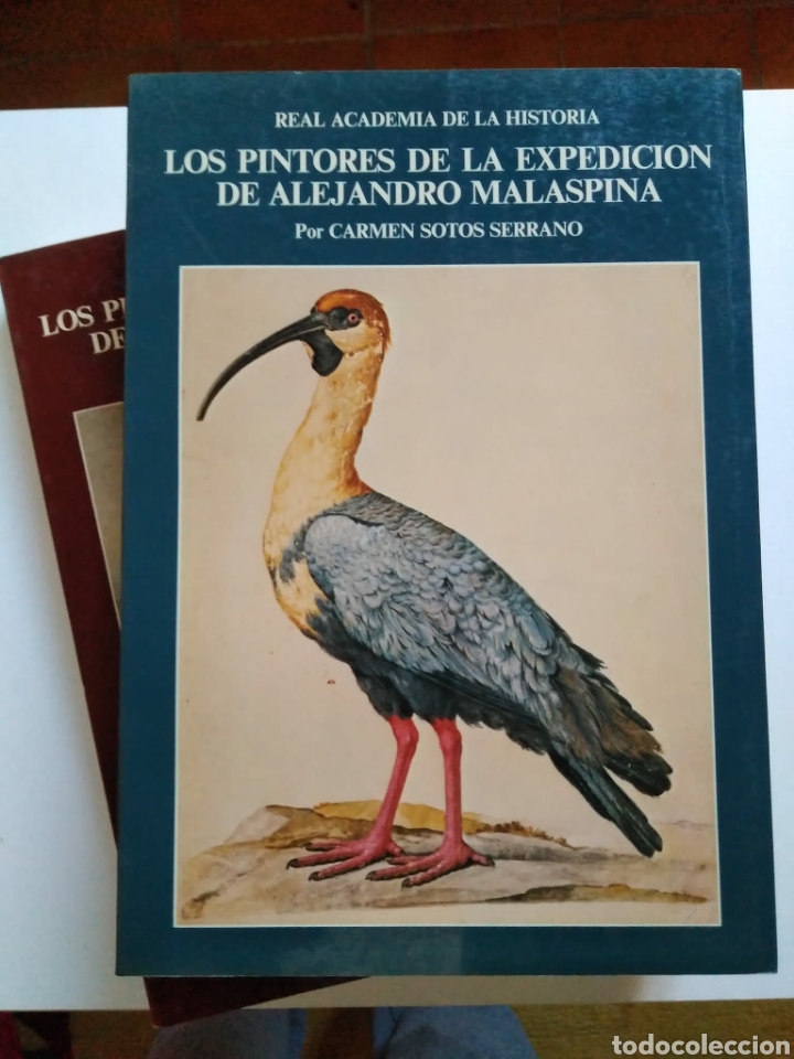 Libros de segunda mano: LOS PINTORES DE LA EXPEDICION DE ALEJANDRO MALASPINA - Foto 1