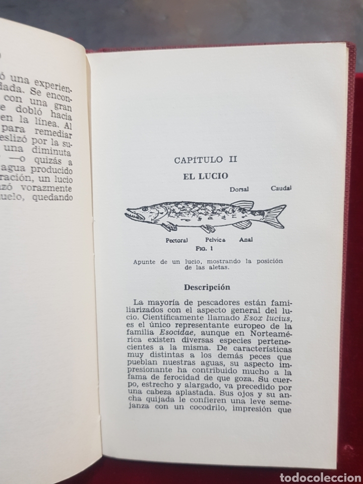 Libros de segunda mano: Libro de pesca sobre el lucio editorial hispano Europea Heracles - Foto 3