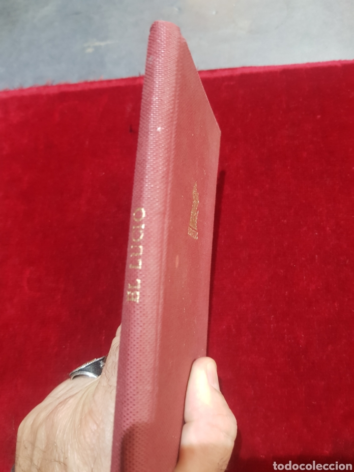 Libros de segunda mano: Libro de pesca sobre el lucio editorial hispano Europea Heracles - Foto 4