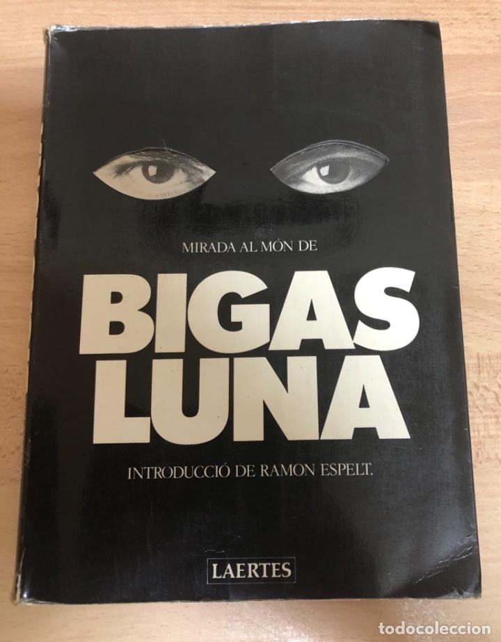 Libros de segunda mano: LIBRO EN CATAL&Aacute;N , MIRADA AL M&Oacute;N DE BIGAS LUNA INTRODUCCI&Oacute;N DE RAM&Oacute;N ESPELT . - Foto 1