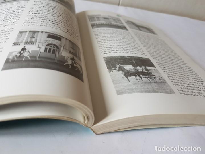 Libros de segunda mano: El caballo / EL CAMPO. SERVICIO DE ESTUDIOS BBVA - Foto 6
