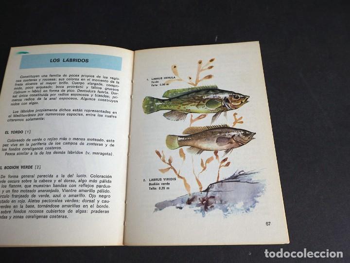 Libros de segunda mano: PESCA EN EL MAR. TONY BURNAND. EDICIONES DAIMON. 1971. - Foto 3
