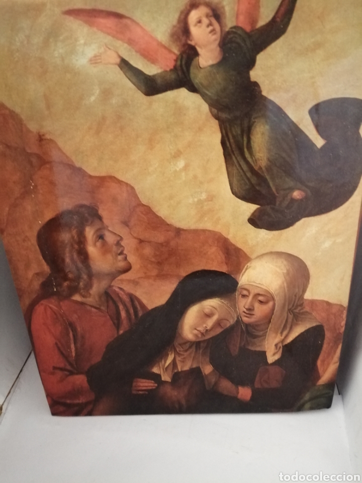 Libros de segunda mano: Patrimonio art&iacute;stico de la Universidad Complutense - Foto 2
