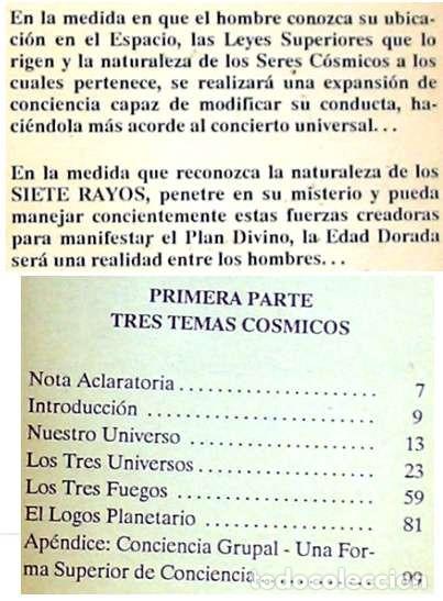 Libros de segunda mano: UNA REALIDAD CÓSMICA - CARMEN SANTIAGO - CARACAS 1989 - VER INDICE - Foto 2 - 205829193