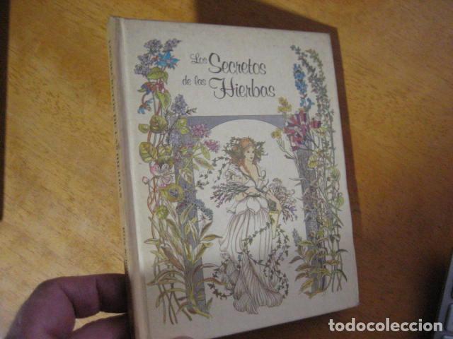 Libros de segunda mano: Schnitzer, Rita, Marsa Bendala: Los secretos de las Hierbas - Foto 1
