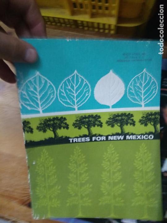 Libros de segunda mano: Trees for new Mexico. En ingl&eacute;s. ART.548-387 - Foto 1