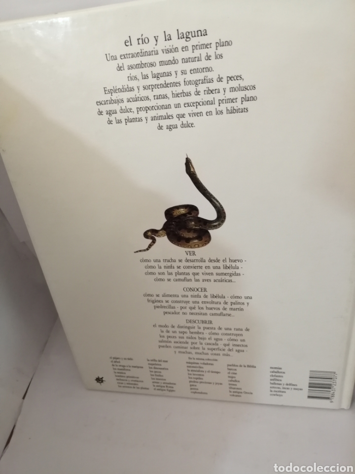 Libros de segunda mano: EL RIO Y LA LAGUNA Steve Parker - Foto 2