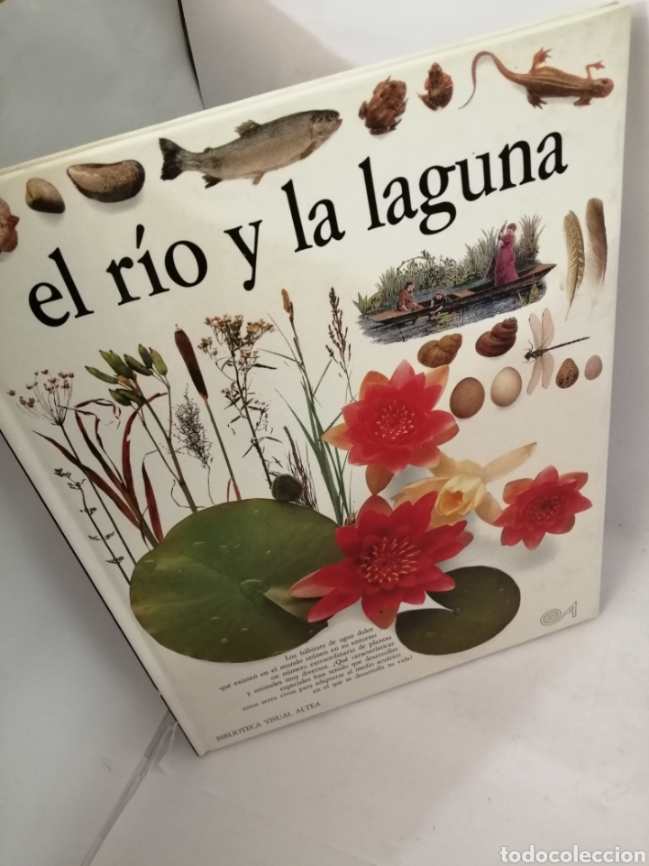 Libros de segunda mano: EL RIO Y LA LAGUNA Steve Parker - Foto 3
