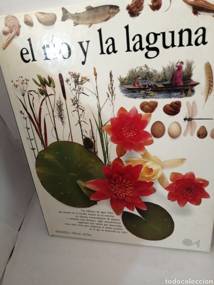 Libros de segunda mano: EL RIO Y LA LAGUNA Steve Parker - Foto 1