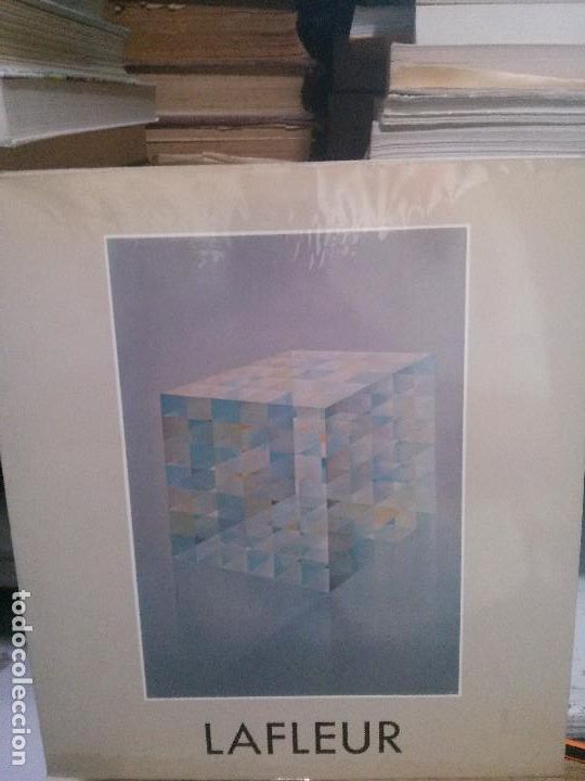 Libros de segunda mano: LA FLEUR, LUZ Y VOLUMENES, 1985 - Foto 1