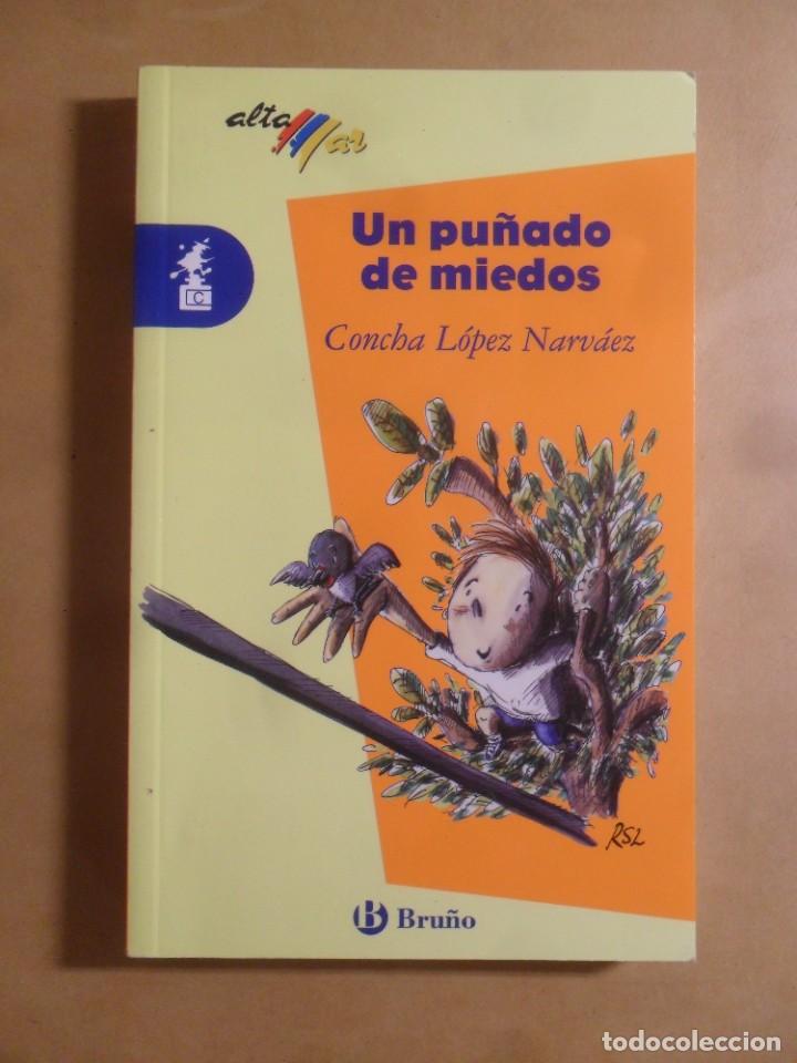 Libros de segunda mano: UN PU&Ntilde;ADO DE MIEDOS - CONCHA LOPEZ NARVAEZ - BRU&Ntilde;O - 2005 - Foto 1