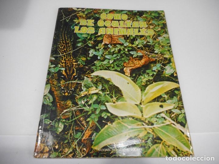 Libros de segunda mano: ROBERT M. McCLUNG C&oacute;mo se ocultan los animales Q911W - Foto 1