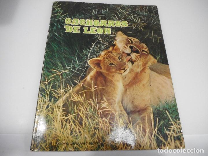 Libros de segunda mano: Cachorros de Le&oacute;n Q912W - Foto 1