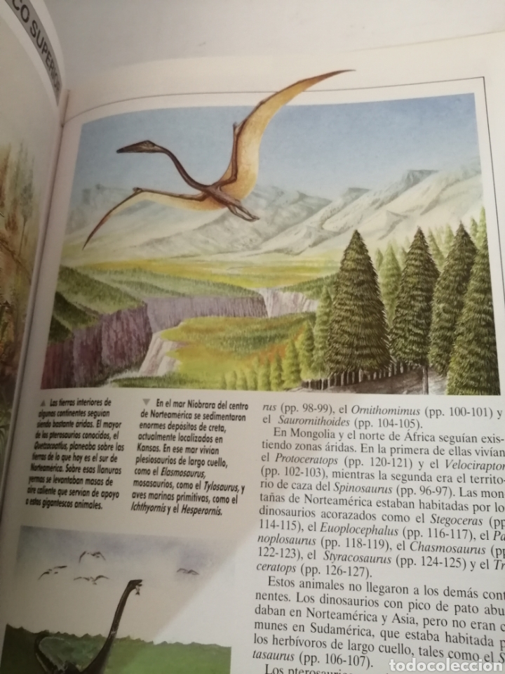 Libros de segunda mano: ENCICLOPEDIA ILUSTRADA DE LOS DINOSAURIOS de Dougal Dixon - Foto 5