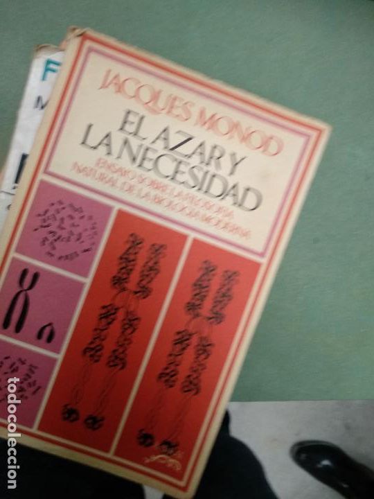 Libros de segunda mano: EL AZAR Y LA NECESIDAD. JACQUES MONOD. BARRAL - Foto 1