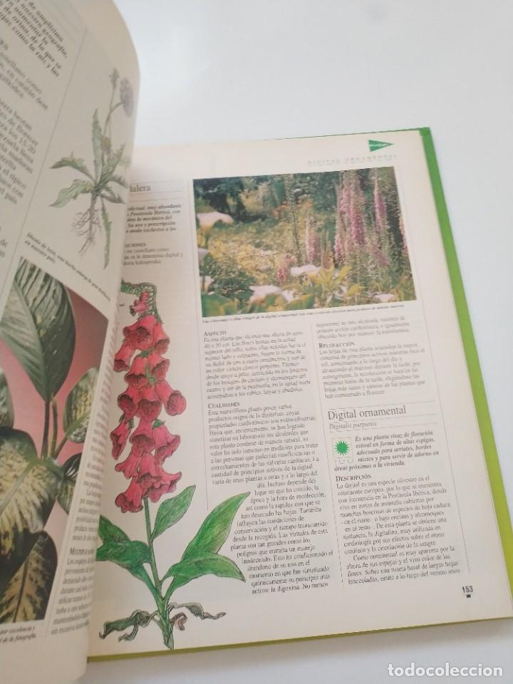 Libros de segunda mano: EL LIBRO DE ORO DE LAS PLANTAS Y LOS JARDINES - Foto 2