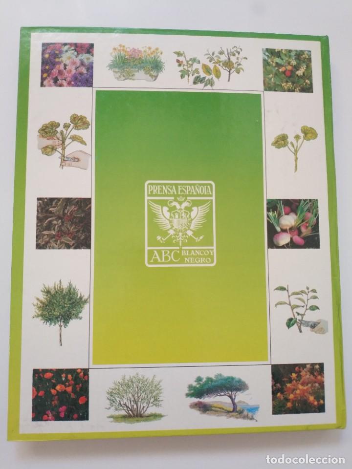 Libros de segunda mano: EL LIBRO DE ORO DE LAS PLANTAS Y LOS JARDINES - Foto 4