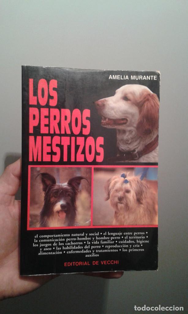 Libros de segunda mano: LOS PERROS MESTIZOS AMELIA DURANTE-EDITORIAL VECCHI - Foto 4