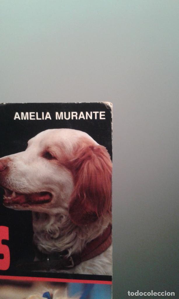 Libros de segunda mano: LOS PERROS MESTIZOS AMELIA DURANTE-EDITORIAL VECCHI - Foto 5