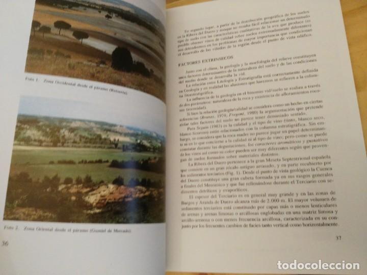 Libros de segunda mano: Libro La RIbera del Duero. Sus Vi&ntilde;as y Sus Vinos - 1992 - Foto 3