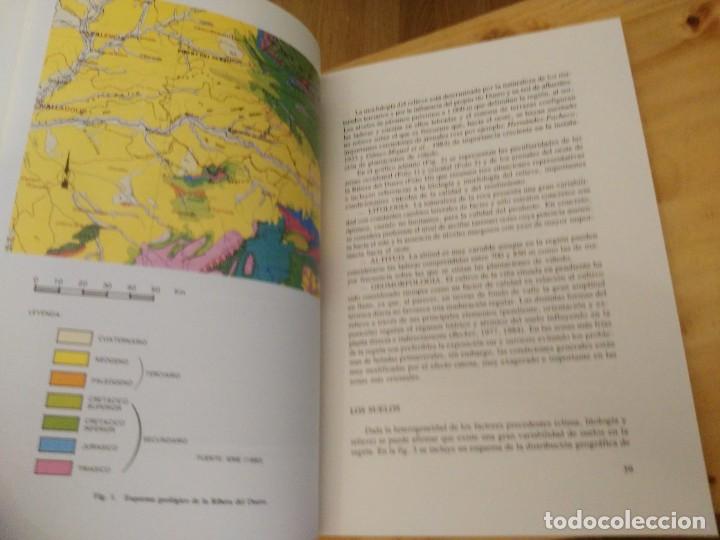 Libros de segunda mano: Libro La RIbera del Duero. Sus Vi&ntilde;as y Sus Vinos - 1992 - Foto 4